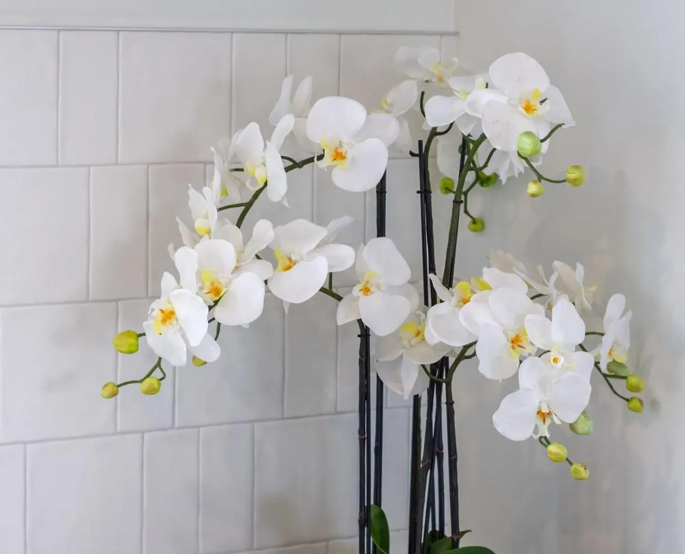 Apartament Relaxing City Hideaway - 2 Bed In Christchurch Cbd